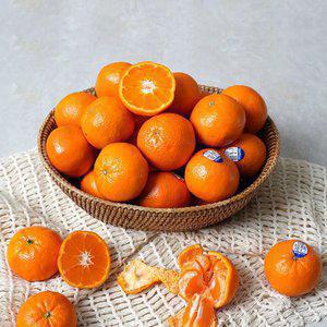 캘리포니아 고당도 만다린 귤 2kg(20-30과내외)