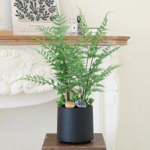 인조식물 인테리어 미니화분 실내 테이블플랜트 조화화분 루모라고사리화분