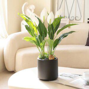 인조식물 인테리어 미니화분 실내 테이블플랜트 조화화분 스파트필름화분