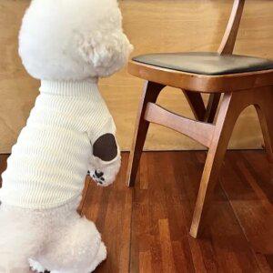 강아지옷 스웨이드 골지 니트 터틀넥 데일리 산책 외출 실내복 S-XL