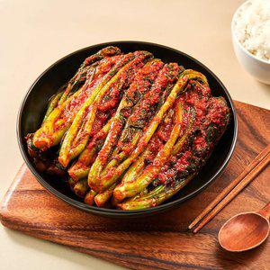 [HACCP] 당일제조 국내산 전라도식 갓김치 2kg 외/DI