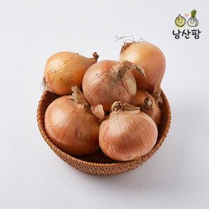 오래가고 단단한 만생종 양파 5kg/10kg 남산팜 (왕특+특/대+중)