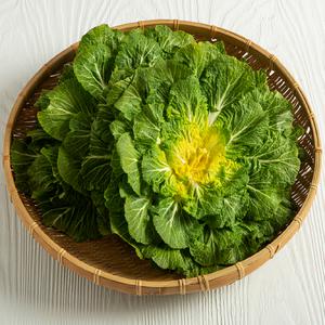 국내산 제철 봄동 배추 1kg
