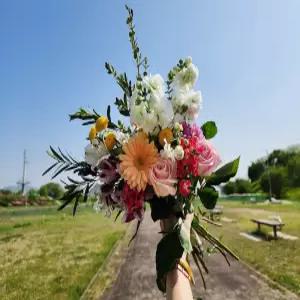 (플라워마켓) 시즌 꽃 생화 세트 꽃배달 싼곳 도매 생화꽃 경매