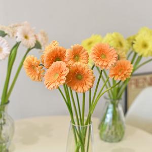 마이플랜트 생화 거베라 번들 꽃다발 꽃선물 화병 꽃 포장 경매 꽃배달 정기구독