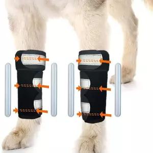 강아지 슬개골 보호대 앞다리 보조기 애견용품 세트