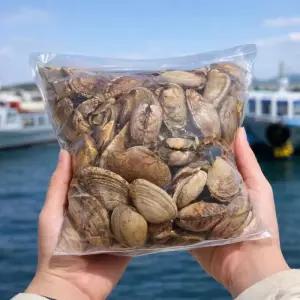 산지직송 남해 바지락 특대사이즈 신선한 제철 왕바지락 1kg
