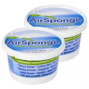 네이처스에어스펀지 오리지널 대형 실내 탈취제 본품 454g x 2개