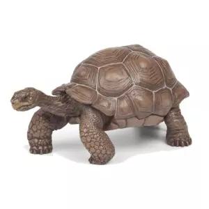 갈라파고스 거북이 모형 완구 피규어 교구 상상력 수집