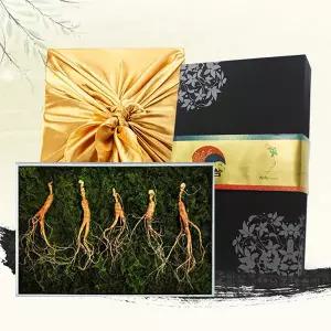 [롯데백화점]디씽컴퍼니 [천향]강원도 산양삼 9-10년근 5뿌리