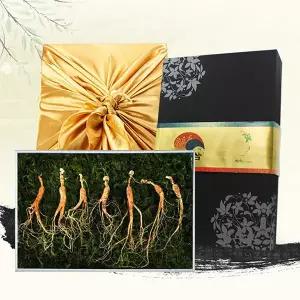 [롯데백화점]디씽컴퍼니 [천향]강원도 산양삼 9-10년근 7뿌리