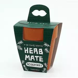 반려식물 로즈마리 키우기 재료 모음 세트 실내 화분키우기 탁상용 인테리어 어린이선물 답례품 재배기 DIY