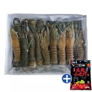 크래이피쉬 마라롱샤세트 마라룽샤가재 마라롱샤 냉동민물가재 1kg 25미이상 마라소스포함 마라샹궈소스 마