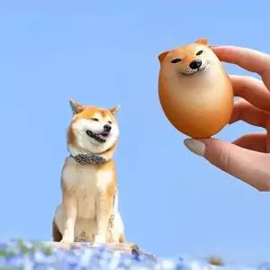 [셀러허브 생활리빙]시바견계란 달걀 킹받는 선물 시바계란 찾기 숨기기 쓸없선 피규어 필요없는