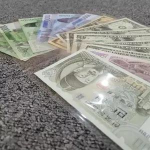 홀더 화폐 지폐 보관 비닐 수집앨범 100매 지폐수집 앨범