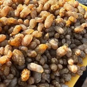 먹부장 통통 오만둥이 미더덕 1kg 식사 중식 한식 점심시간 즉석요리 회식