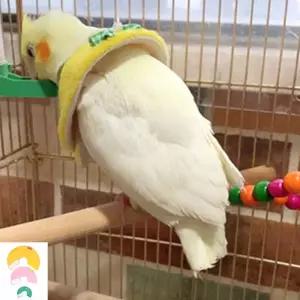 깃털 앵무새 자해방지 앵무새옷 보호 넥카라 조류옷 넥카라 대 목도리 뽑기 앵무새 용품 깃털 조류옷