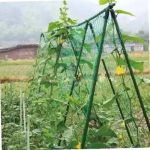 식물넝쿨 비닐하우스 가든네트 오이 호박 덩굴 지지대 0.9 x 1.8m
