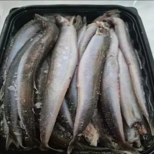 [급냉] 생물 양미리(20미), 2묶음