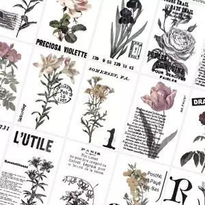 다꾸노트 빈티지 다이어리꾸미기 종이 황산지 꽃 (KYR-WDA6B05)