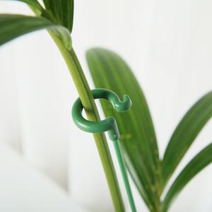 갑조네 오링지지대 5개묶음 지주대 식물지지대 고리 원형 고추 방울토마토 꽃 화초 수형 고정용 넝쿨 덩굴