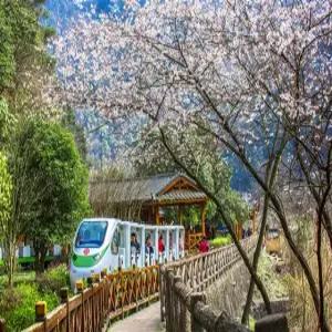 [노쇼핑] 장사 장가계/원가계 4박6일 [백룡VIP코스/칠성산/십리화랑/황룡동굴]