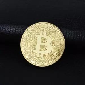 비트코인 볼마커 필드 볼체킹 골프 동전 볼마크 (WFJ5PBP)