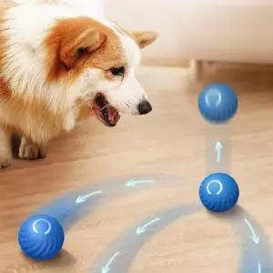 딩동펫 강아지 고양이 장난감 자동 움직이는 롤링볼