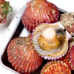 건담농수산 통영 홍가리비 생가리비 활 주문