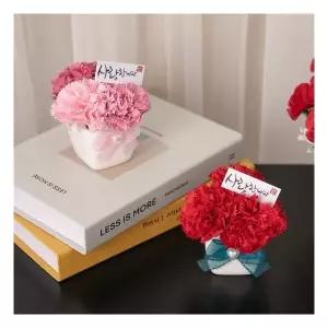 하트진주 카네이션 화분set 8cm 2컬러 조화 어버이날 스승의날 선물 감사