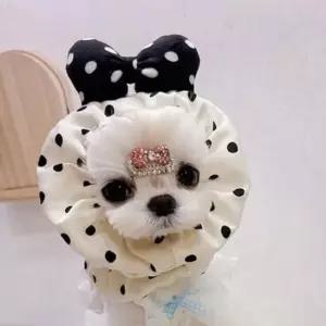 [반려] 패션 반려동물 머리 밴드 도트 강아지 머리 밴드 헤어밴드 머리띠