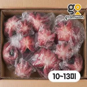 자숙문어 돌문어 10kg 12미(10~13미 내외) 냉동 숙회 제수용 왕문어 필리핀