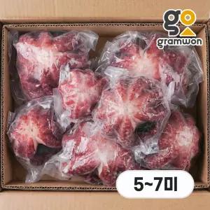 자숙문어 돌문어 10kg 6미(5~7미 내외) 냉동 숙회 제수용 왕문어 필리핀