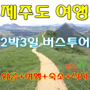 제주도 버스투어 항공권포함/패키지 여행투어 가족 효도여행/관광 친목 다양한투어일정 선택가능