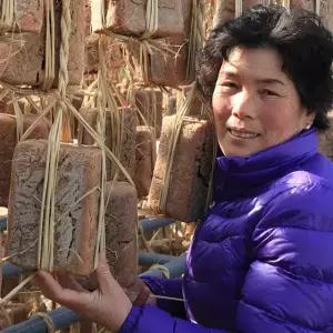 함평 재래식 전통메주/국산콩100% 메주 2덩이