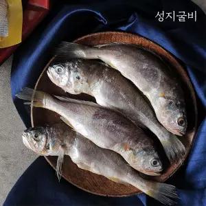 영광법성포 진공포장굴비 40미(17~19cm,2.4kg내외)