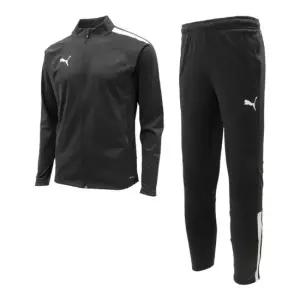 푸마트레이닝세트 ZQC 658924-03 푸마 팀리가 트랙 수트 ASIA SP
