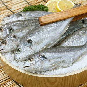 농가살리기 국내산 여수 반건조 백굴비(백조기) 14-20미 (총 2kg내외)