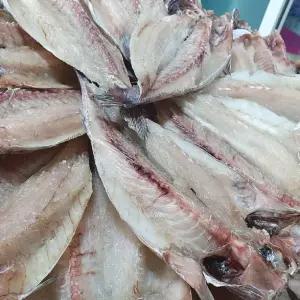 반건조 활복 민어 34cm내외 250g이상 3마리