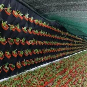 부직포 화분 실내정원 벽화분 49포켓 재배