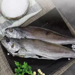 미진수산 제수용 반건조민어3미(35cm내외)