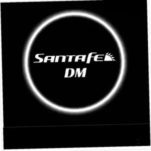 D21 싼타페DM 호환 전용 LED 도어라이트