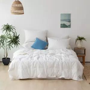 [소프라움](센텀시티점)폴린 폴란드산 구스이불 K (간절기)