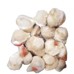 희모 가리비 20-40 220g 냉동 해물