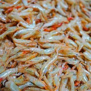 국내산 밥 새우 말린 새우 300g