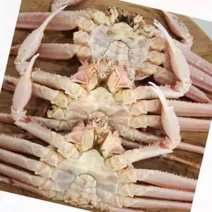 자숙대게 국내산 붉은 대게 홍게 찜 제철 수산물 선물 6미