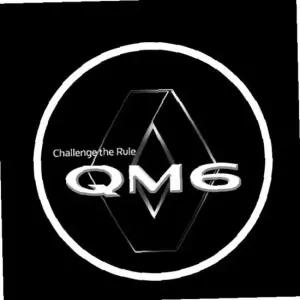 QM6 로고 매립형 LED 도어 라이트 자동차 용품 2P