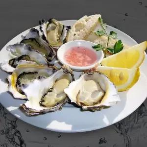 국내산 석화굴 10kg 1팩