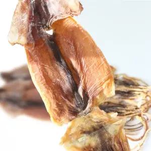 [롯데백화점]친환경팔도 동해안 당일바리 오징어(특대)10마리(1kg내외)