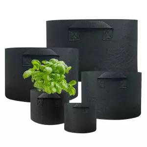 펠트분 블루베리 옥상 베란다 텃밭화분 대형화분 부직포 그로우백 상추 방울토마토 작물 키우기